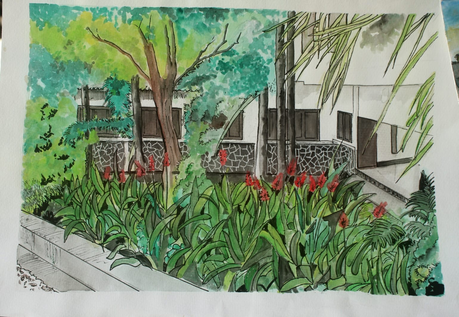 Ink and watercolour painting of a lush garden with red flowers and broad leaves before a white building with stone walls